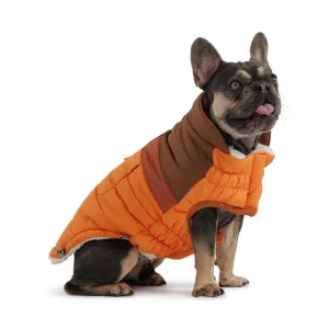 Camplife Dog Puffer - Orange