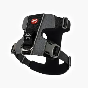 EzyDog X Link Black Dog Harness Extra Small^^^