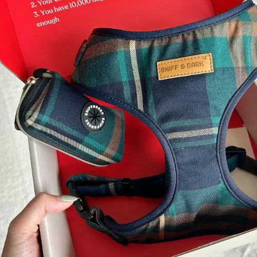 Gentleman Lockable Harness™