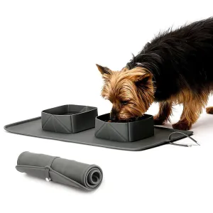 PAWS ASIA Manufacturers Silicone Non Slip Folding Portable Travel Double Dog Bowl Cat With Mat