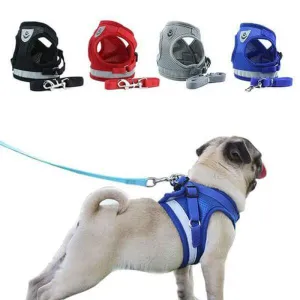 Reflective Safety Harness and Leash Set