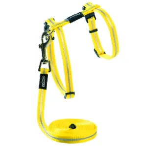 Rogz Alleycat Harness Lead Dayglow