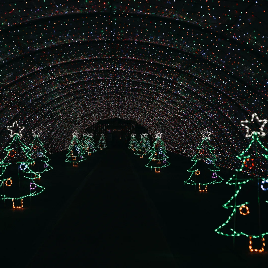 Sunday, December 8th
