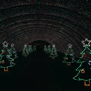 Sunday, December 8th