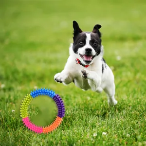 Treat Dispensing Sound Bite-Resistant Chew Toy
