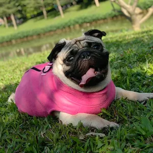 Winter Chic for Every Pup: Fleece Dog Clothes - Cozy Pet Clothing for Small to Medium Dogs, Perfect for French Bulldogs, Pugs, Poodles, and Chihuahuas